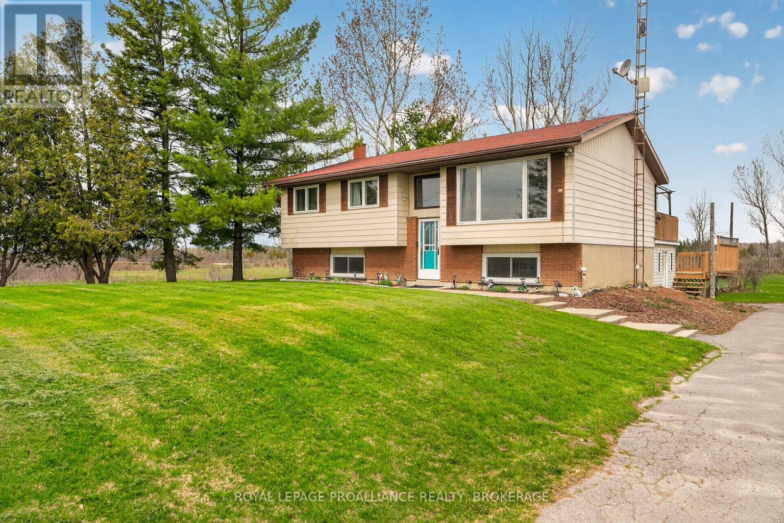 261 SHANE STREET - 1