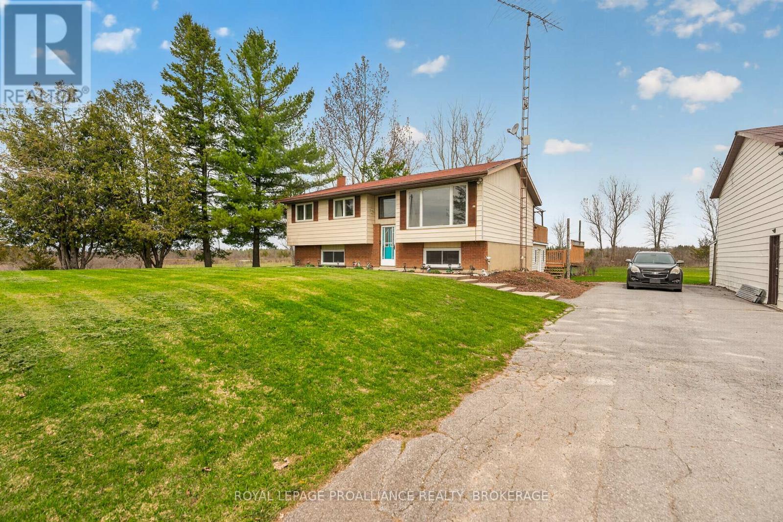 261 SHANE STREET - 3