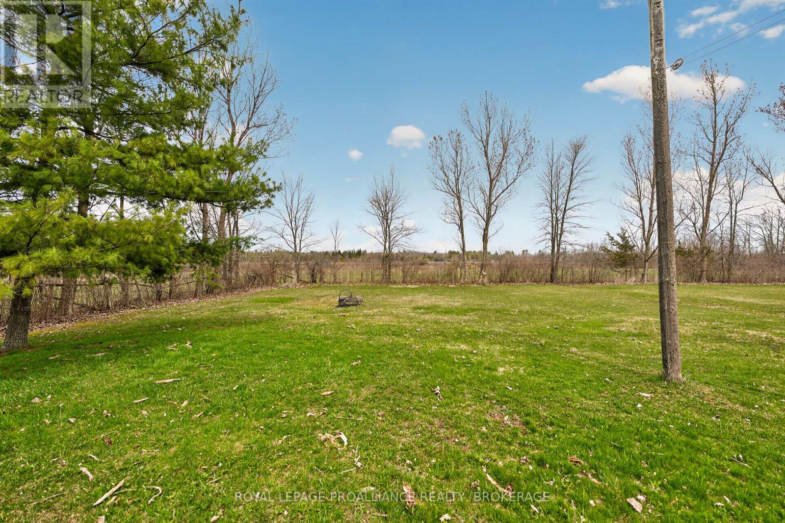 261 SHANE STREET - 44