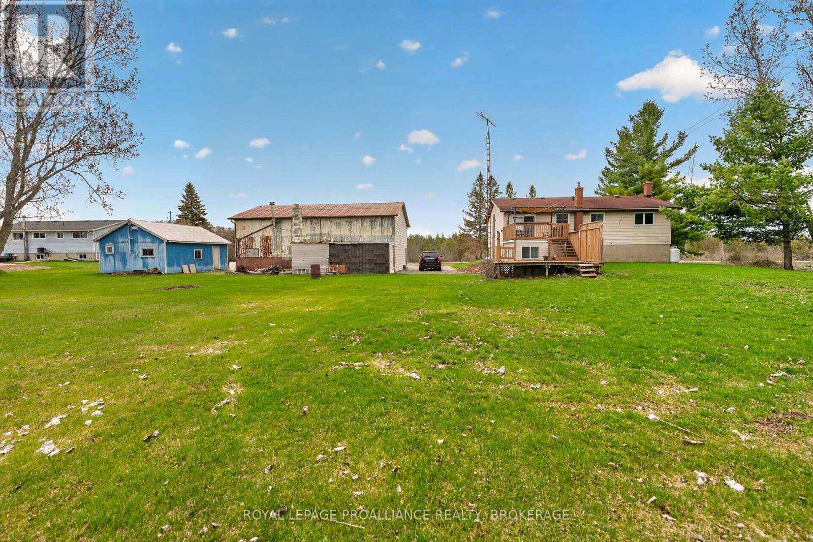 261 SHANE STREET - 45