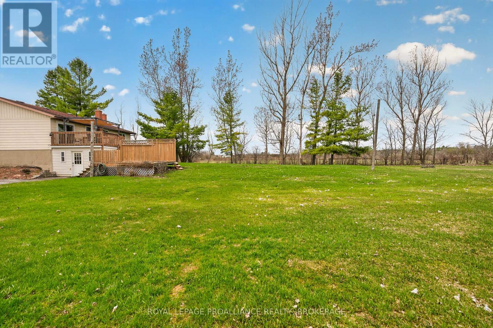 261 SHANE STREET - 46