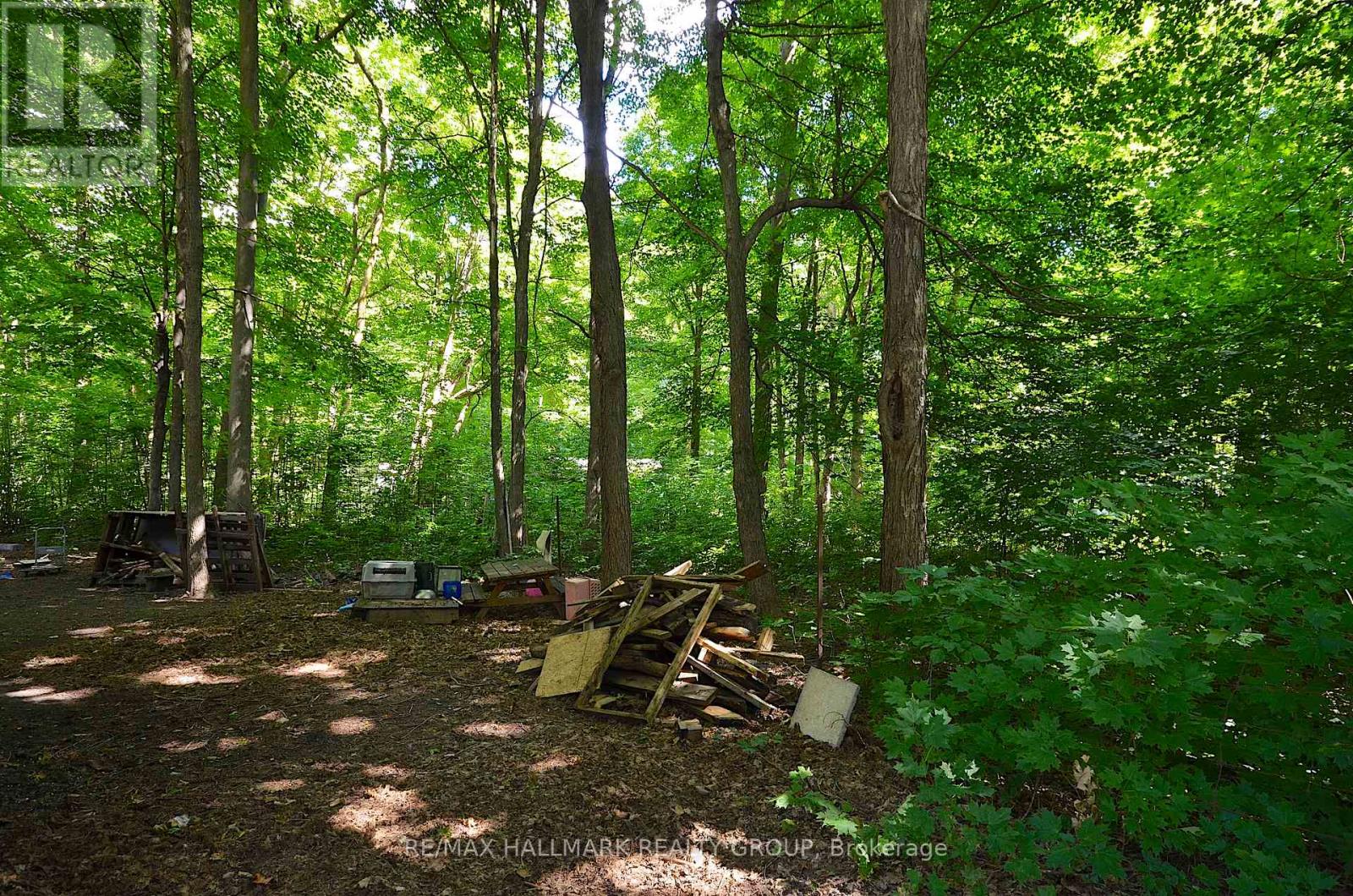 1675 DUNNING ROAD - 50
