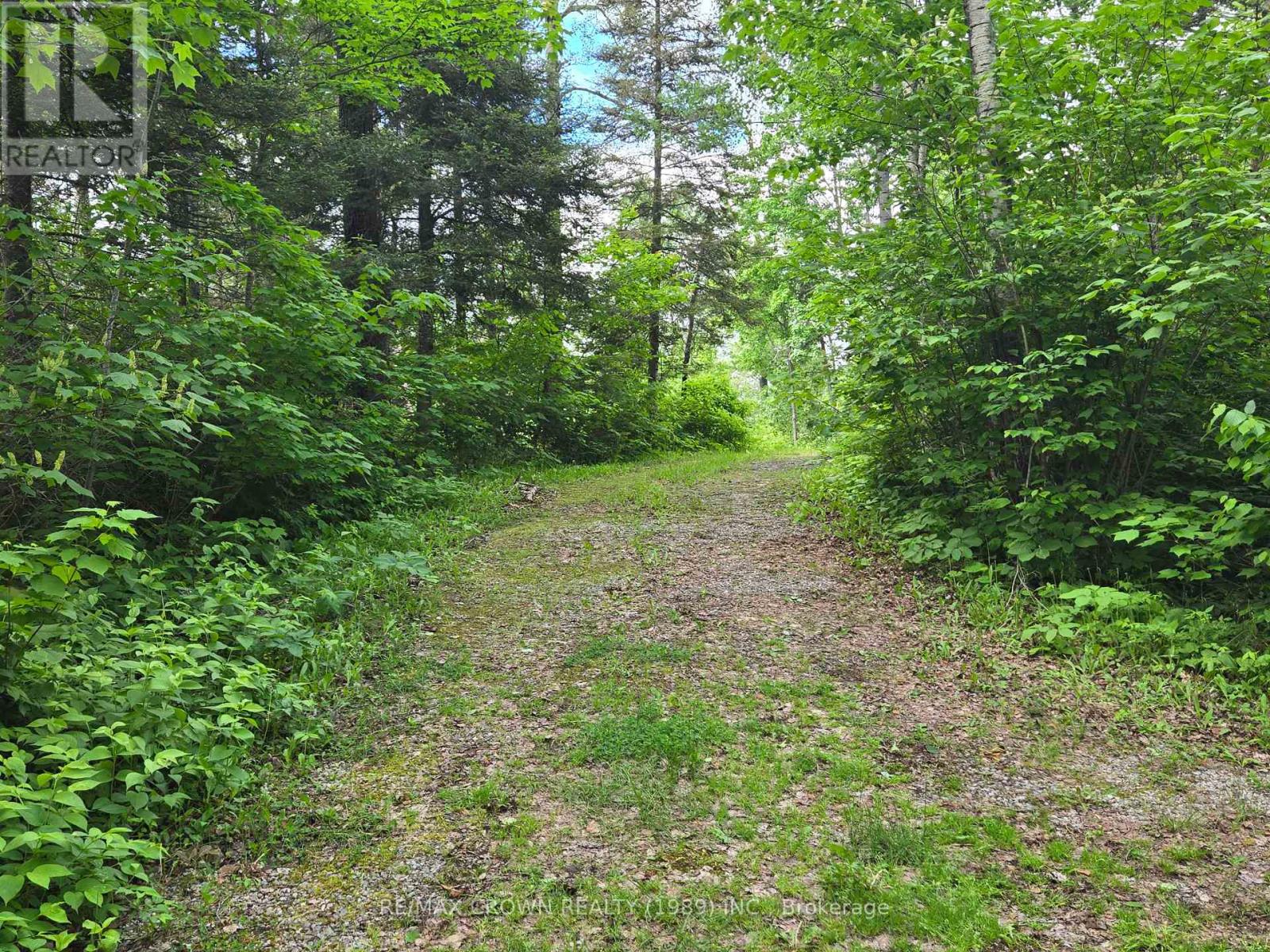 127 WHITE PINE ROAD - 4