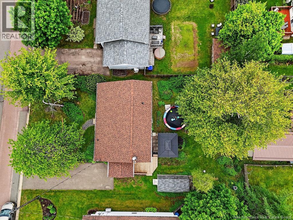 234 Diligent Drive - 43