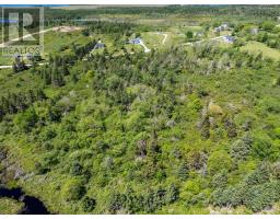 Lot Highway 1, Beaver River, NS B5A5B1 Photo 10