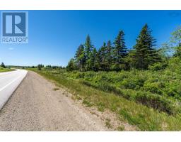 Lot Highway 1, Beaver River, NS B5A5B1 Photo 16
