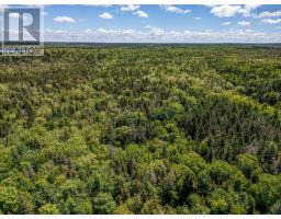 Lot Highway 1, Beaver River, NS B5A5B1 Photo 8