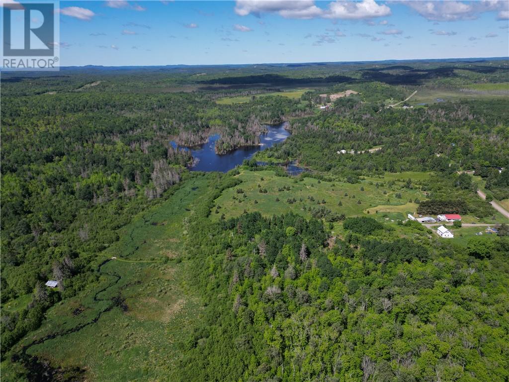 565 Chicago Mine Road - 3