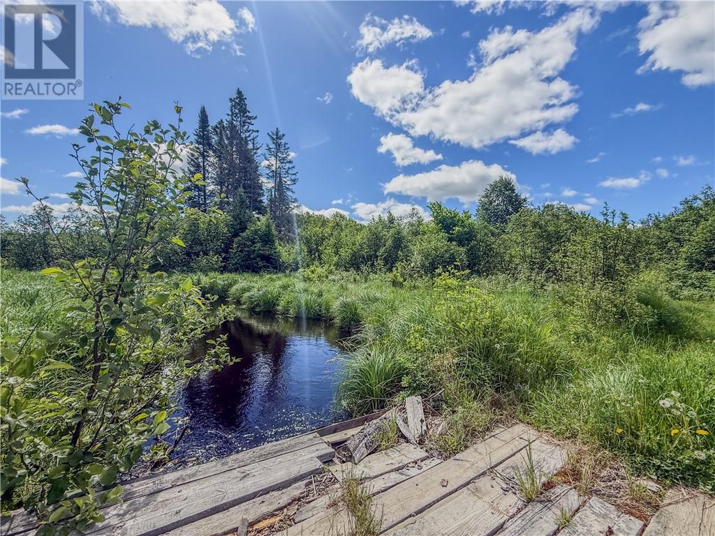 565 Chicago Mine Road - 33