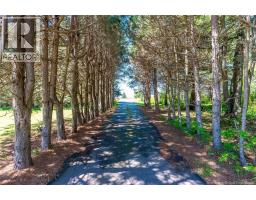 166 Route 960, Cape Tormentine, NB E4M2C6 Photo 47