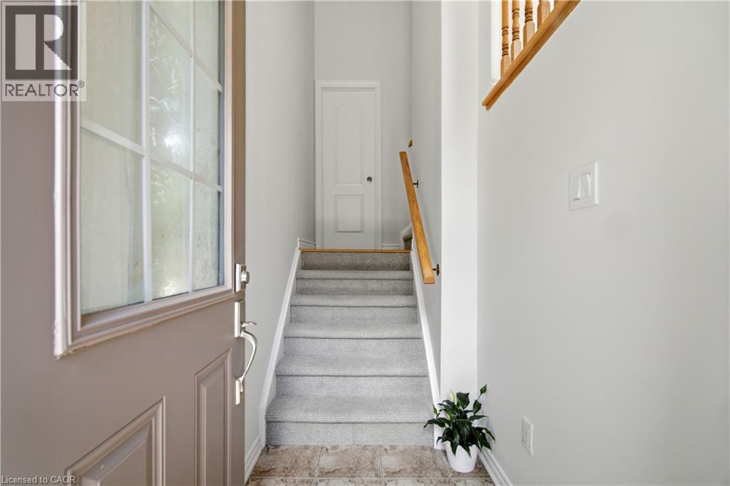7211 TRIUMPH Lane - 7