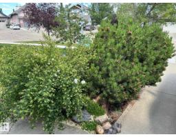13 Newbury Co, St  Albert, AB T8N7C1 Photo 39