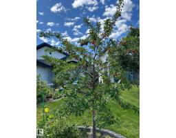 13 Newbury Co, St  Albert, AB T8N7C1 Photo 40