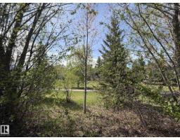 13 Newbury Co, St  Albert, AB T8N7C1 Photo 50