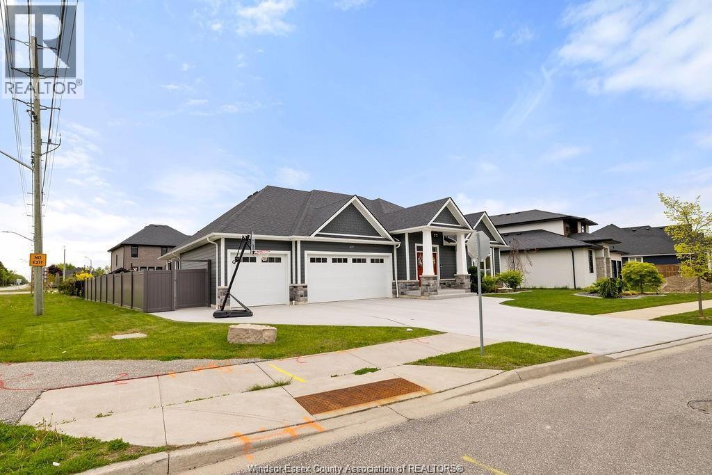 6072 Silver Maple - 6