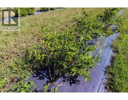 705068 Rge Rd 82, Wembley, AB T8W5B5 Photo 11