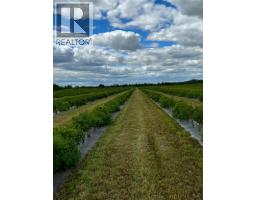 705068 Rge Rd 82, Wembley, AB T8W5B5 Photo 32