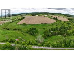 20250 17 Highway, Whitewater Region, ON K0J1K0 Photo 14