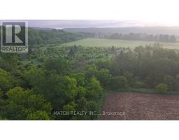 20250 17 Highway, Whitewater Region, ON K0J1K0 Photo 32