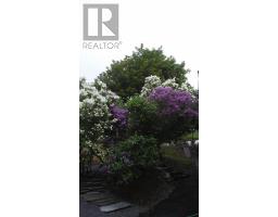34 Crowdy Street thumbnail 45