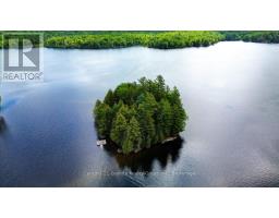 19400 Upper Paudash-birch, Highlands East, ON K0L1M0 Photo 20