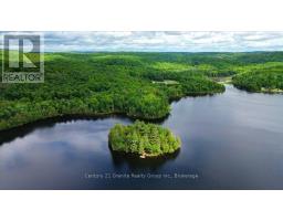 19400 Upper Paudash-birch, Highlands East, ON K0L1M0 Photo 21