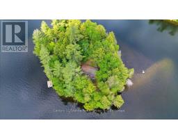 19400 Upper Paudash-birch, Highlands East, ON K0L1M0 Photo 27