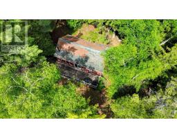 19400 Upper Paudash-birch, Highlands East, ON K0L1M0 Photo 28