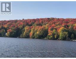 19400 Upper Paudash-birch, Highlands East, ON K0L1M0 Photo 45