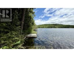 0 Island Lake Road, Kearney, ON P0A1M0 Photo 26