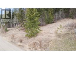2481 Squilax-anglemont Road Lot# 21, Lee Creek, BC V0E1M4 Photo 10