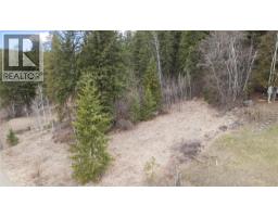 2481 Squilax-anglemont Road Lot# 21, Lee Creek, BC V0E1M4 Photo 9