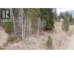 2481 Squilax-anglemont Road Lot# 21, Lee Creek, BC V0E1M4 Photo 8