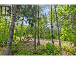 423 Salisbury Back Road, Salisbury, NB E4J1K3 Photo 29