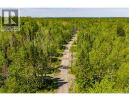 423 Salisbury Back Road, Salisbury, NB E4J1K3 Photo 37