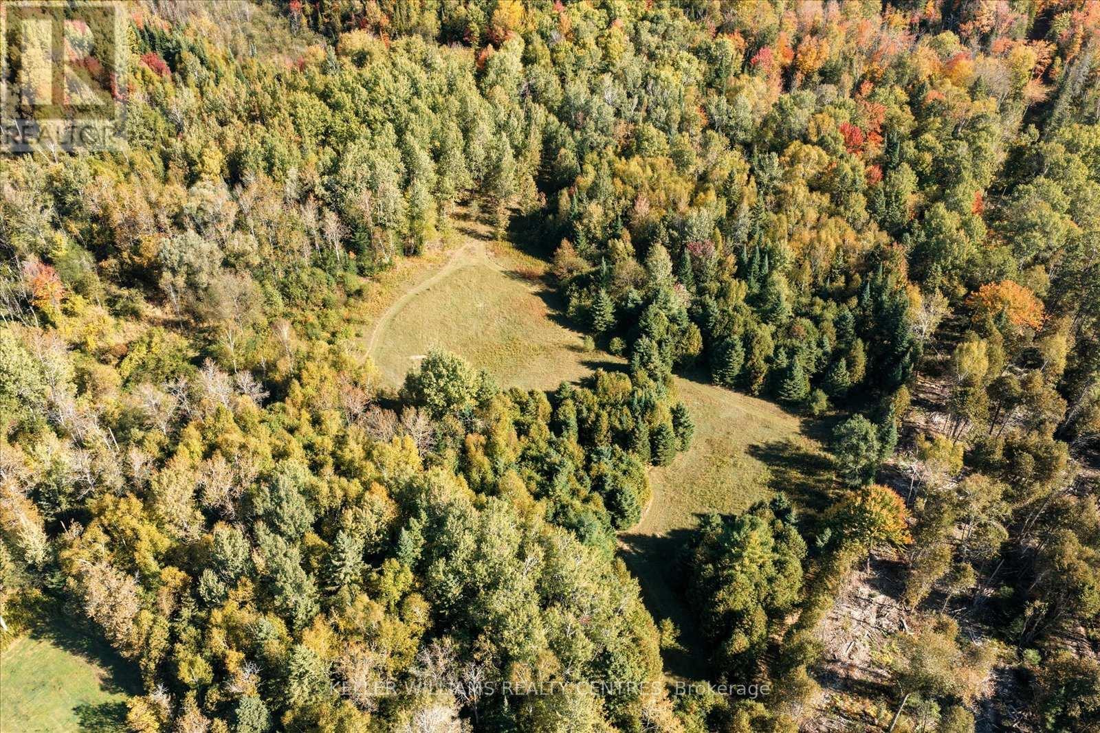 11601 CONCESSION 3 ROAD - 49