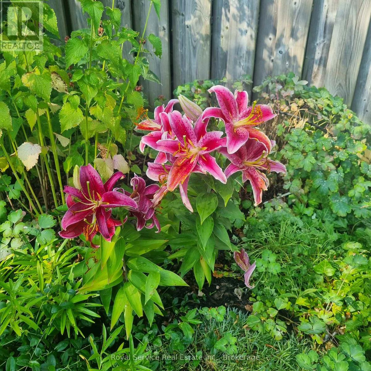 23 HUFFMAN AVENUE - 50
