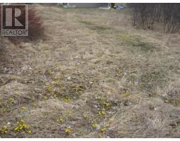 233 Humber Road thumbnail 10