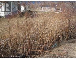 233 Humber Road thumbnail 18
