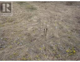 233 Humber Road thumbnail 3