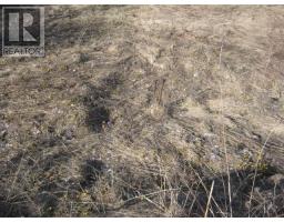 233 Humber Road thumbnail 9