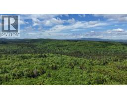 Lot Backland Road, Kingston, NB E5N1E4 Photo 7