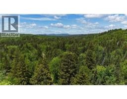 Lot Backland Road, Kingston, NB E5N1E4 Photo 12
