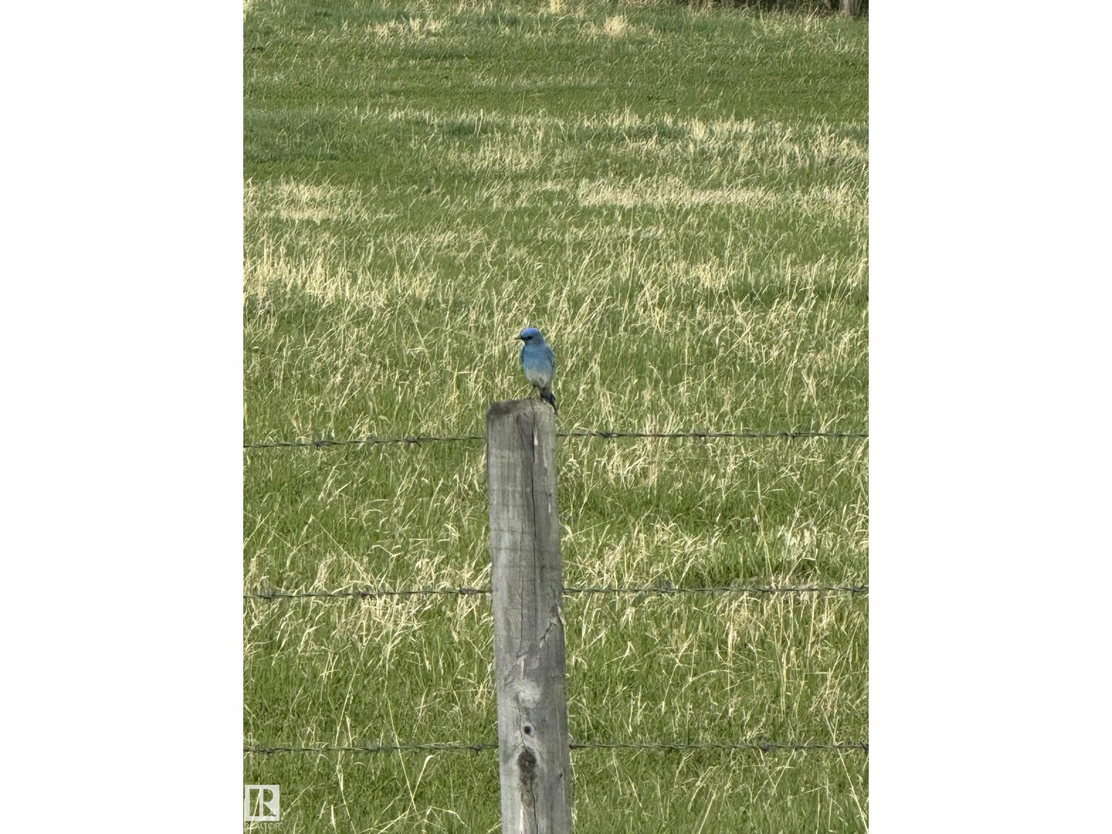 281029 Hwy 616 — photo 12