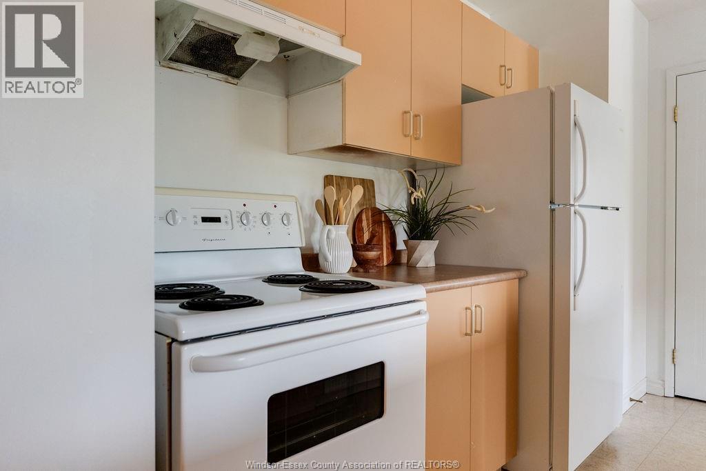 #222 1390 LAUZON ROAD - 10