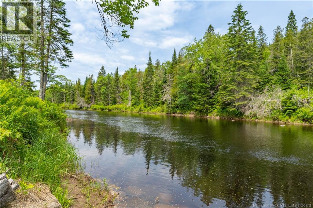 335 Flume Ridge Road - 31