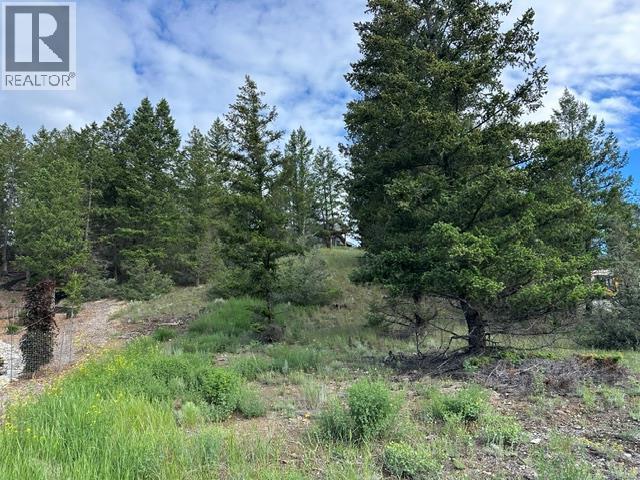 Lot 20 Berland Bend Lot# 20, Windermere — photo 3