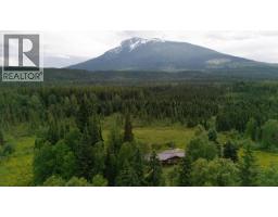 8210 S 5 Highway, Valemount, BC V0E2Z0 Photo 28