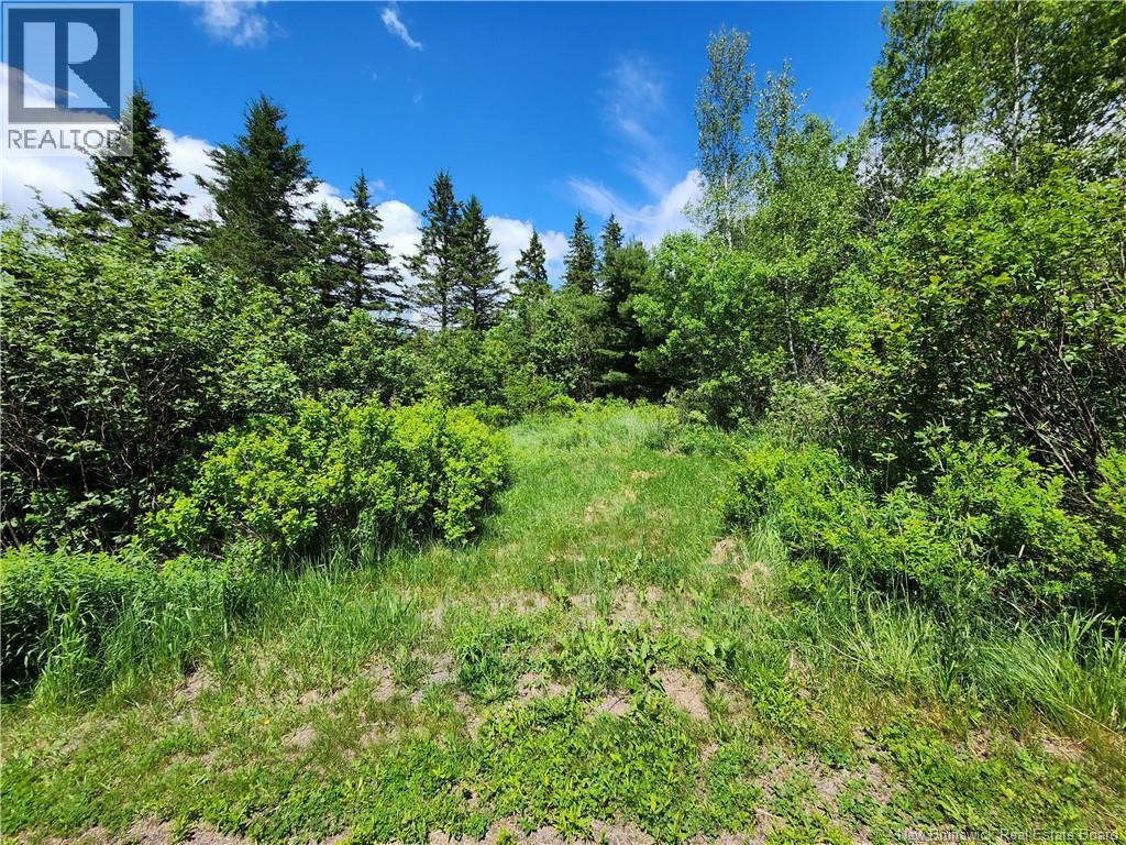 LOT Old Albert Mines, Edgetts Landing — photo 2