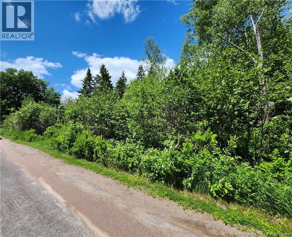 LOT Old Albert Mines, Edgetts Landing — photo 3